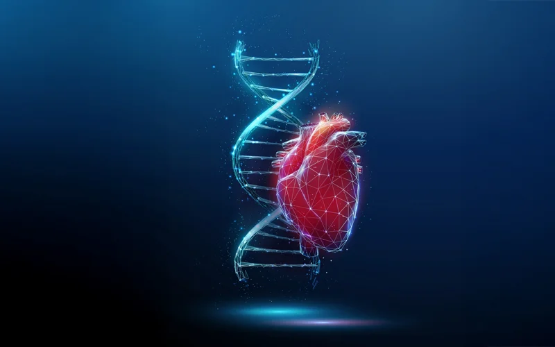 Un centro specializzato per la cura della Sindrome di Marfan