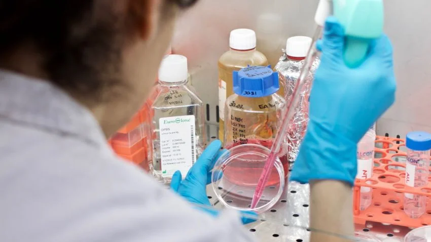 I progetti di ricerca