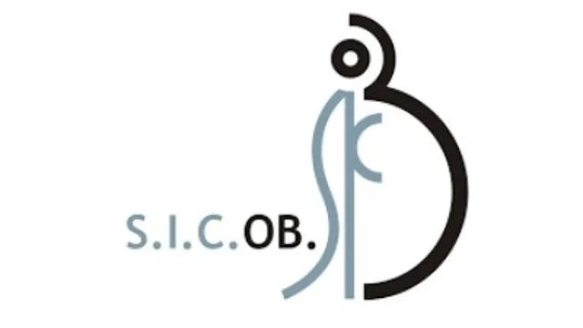 Centro d'eccellenza chirurgia dell'obesità