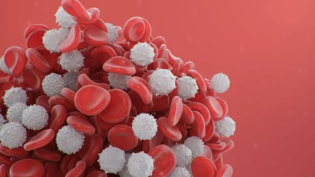 Disease Unit Neoplasie Mieloproliferative