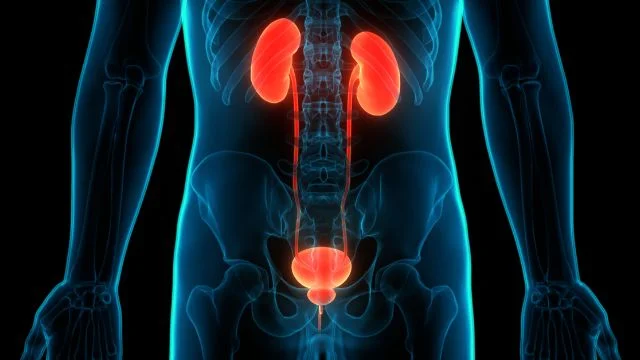 Disease Unit Tumori Rari dell’Apparato Genitourinario