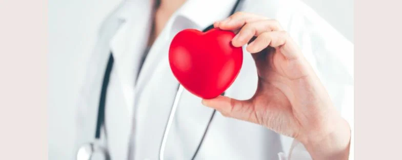 Ciclo cardiaco: fasi, durata e cosa succede in ogni battito del cuore