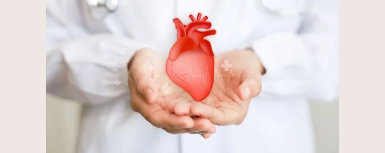 Chirurgia endoscopica mini-invasiva al cuore: cos’è e come funziona 