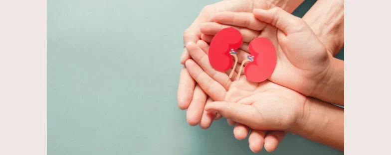 Dialisi, cos’è, quando serve e come funziona il trattamento