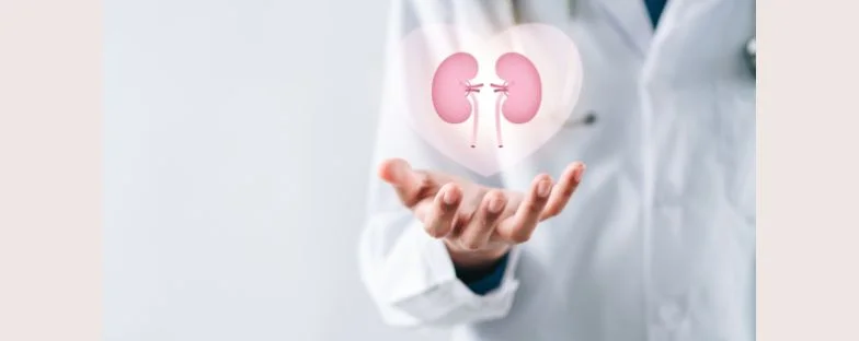 Biopsia renale percutanea: cos’è, come si svolge e vantaggi