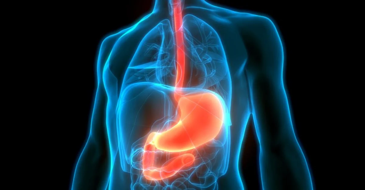 Adenoma epatico: il tumore benigno del fegato che non va sottovalutato