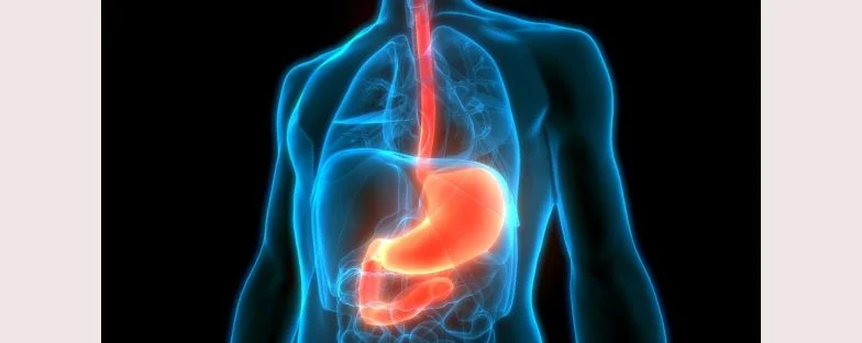 Adenoma epatico: il tumore benigno del fegato che non va sottovalutato