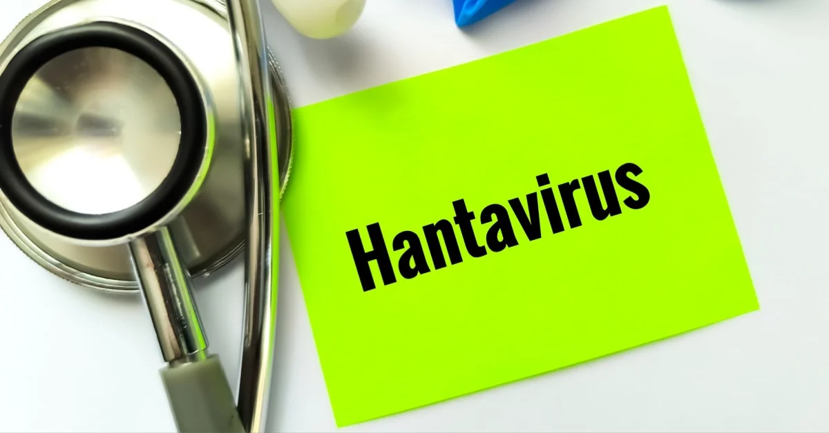 Gli Hantavirus si comportano come il Covid-19? Cosa sappiamo sul rischio di contagio