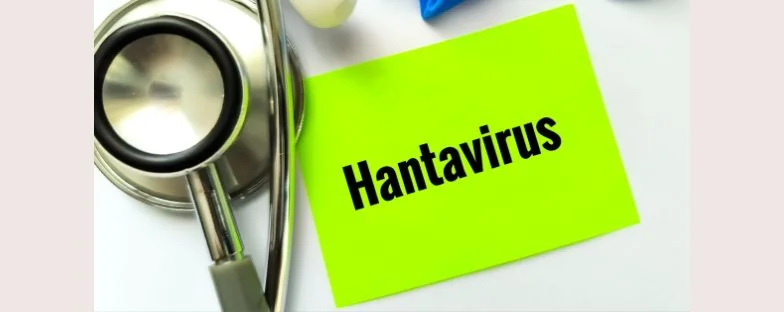 Gli Hantavirus si comportano come il Covid-19? Cosa sappiamo sul rischio di contagio