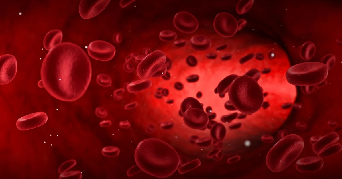 Talassemia: cos’è, come si trasmette e perché lo screening è fondamentale