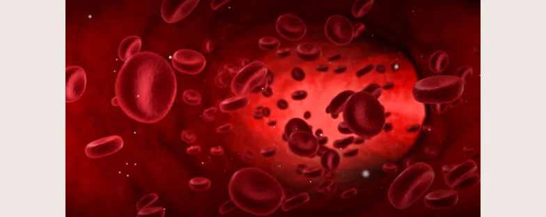 Talassemia: cos’è, come si trasmette e perché lo screening è fondamentale