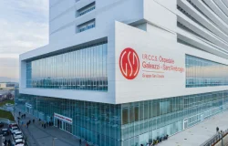 IRCCS Ospedale Galeazzi - Sant'Ambrogio