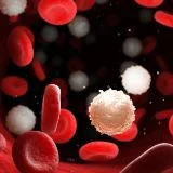 Ematologia e Trapianto di Midollo Osseo