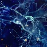 Neurologia